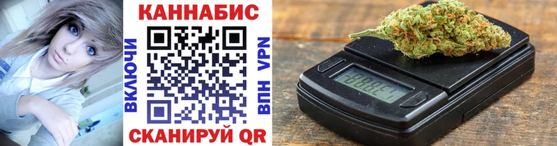 Конопля гибрид  Чегем 